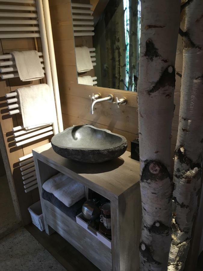 Chalet Mine De Rien 梅杰夫 外观 照片